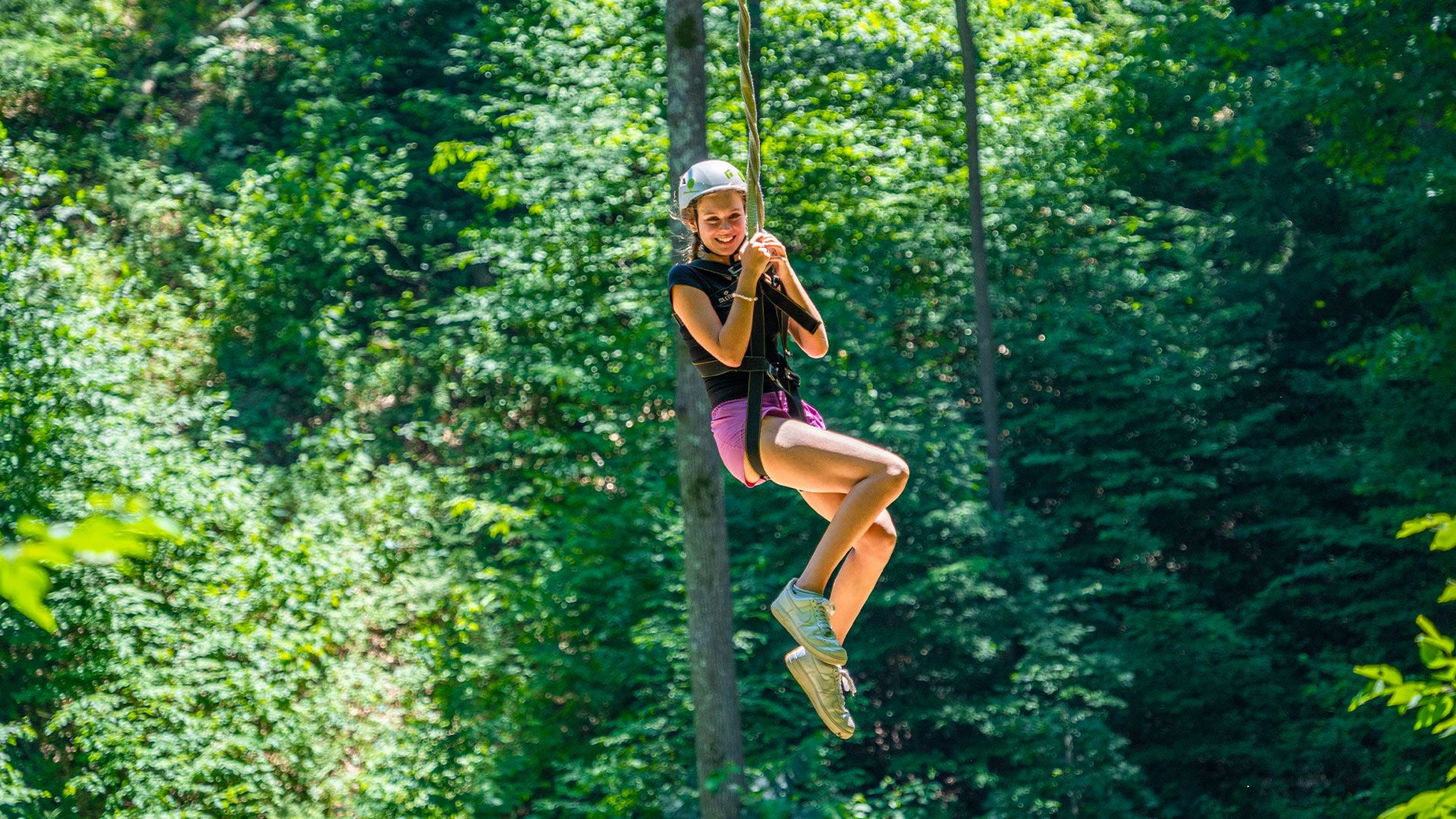 Picture of Zipline Adventure Tour